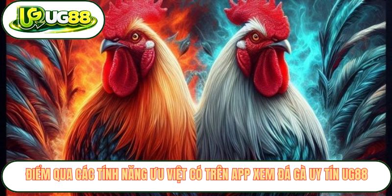 Điểm qua các tính năng ưu việt có trên app xem đá gà uy tín UG88