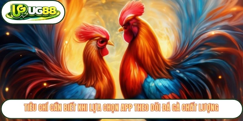 Tiêu chí cần biết khi lựa chọn app theo dõi đá gà chất lượng